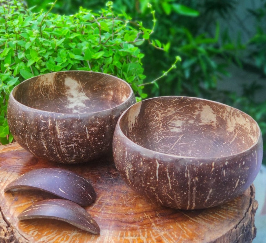 coconut shell bowl